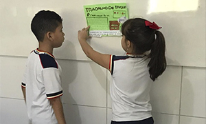 ensino fundamental